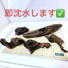 R*I様 不規則形状　流木5点セット【自然沈水します】