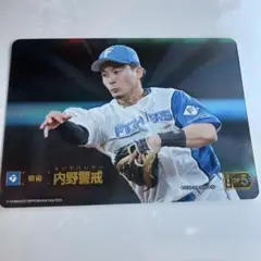 ドリームオーダー 12球団ブースターsp水野内野警戒選手