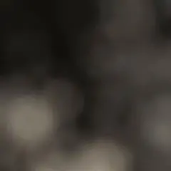 Item thumbnail for item b782726a-af89-4149-ab84-1b2c4b5e53b1