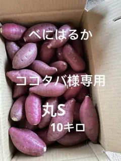 ココタバ様専用　丸S 10キロ
