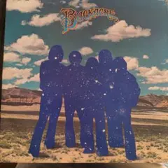 バックエイカーBuckacre