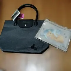 カルディ　　プレミアムネコの日バッグ 　メッシュポーチ