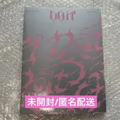 【24時間以内発送】StrayKids スキズ DO IT ITver doit