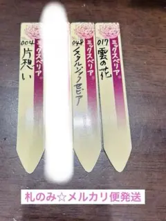 札のみ☆ミックスベリア おらいさん苗 白銀黒銀姫含む5枚セット＋円