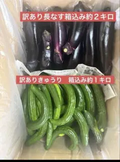 訳あり きゅうり 箱込み約1キロ 訳あり長なす 箱込み約2キロ - メルカリ