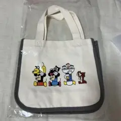 ディズニーミニバッグ