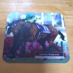 競馬　HUBコラボコースター 有馬記念　サトノダイヤモンド