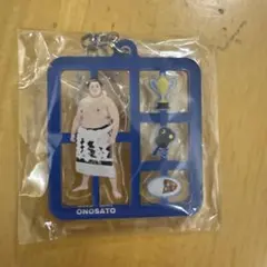 2026年最新】大の里の人気アイテム - メルカリ