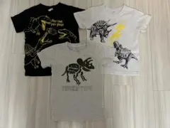 恐竜デザイン Tシャツ 3枚セット 110cm