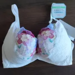 E65 トリンプ 天使のブラ 魔法のハリ感　ノンワイヤーブラ