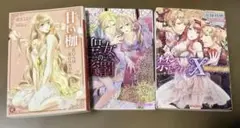 30日までtl小説3冊おまとめ