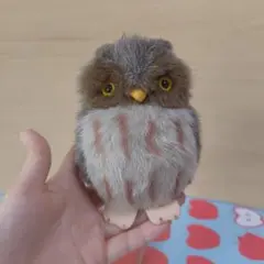 やまね工房 コノハズク ぬいぐるみ このはずく フクロウ ふくろう