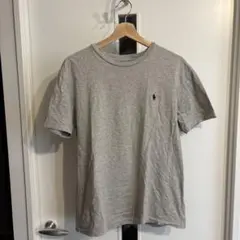 POLO RALPH LAUREN グレー Tシャツ M