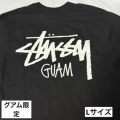 日本未発売 Stussy ステューシー グアム限定 GUAM Tシャツ Lのサムネイル