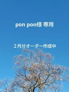 ★pon pon様専用　サンキューカード