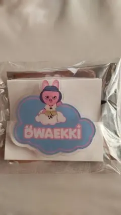 straykids SKZOO ランダム バッジ トェッキ