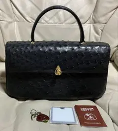 FURDI JRA認定　オーストリッチ　ハンドバッグ　外観A 冠婚葬祭　黒