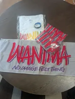 WANIMA Tシャツ・タオル・リストバンドセット