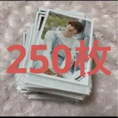 SnowMan 向井康二 公式写真 真四角フォト まとめ売り 250枚セット