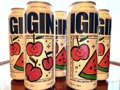 BTS ジン IGIN ノンアルコール ハイボール4本セット - メルカリ