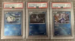 ミジュマル フタチマル　ダイケンキ　進化セッEBB ミラー　psa10