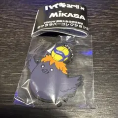 ハイキュー 日向翔陽