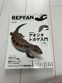 REP FAN vol.08 アオジタトカゲ特集 爬虫類飼育専門誌