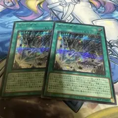 遊戯王 原石の穿光 シークレット 2枚
