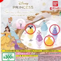 【ディズニープリンセス】コスチュームめじるしアクセサリー 3個セット