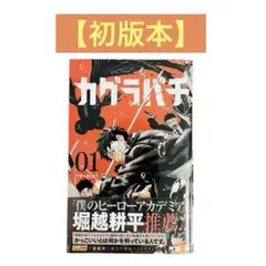 【希少品・初版第1刷発行】人気漫画1巻　初版本13冊セット 希少品・初版第1刷発行】人気漫画1巻 初版本13冊セット