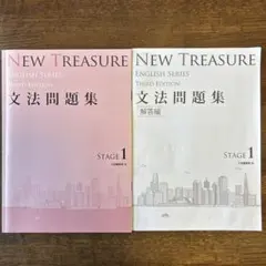NEW TREASURE ENGLISH SERIES 文法問題集・解答