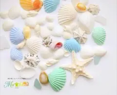 貝殻装飾素材セット