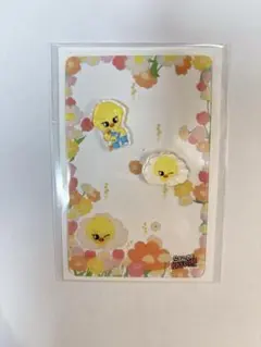 SKZOO ポップアップ 購入特典 クリアカード ポガリお花