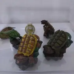 いきもの大図鑑 ミニコレクション カメ01 オンライン版　フルコンプ