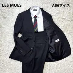 美品☆【レミュー】アオキ　背抜き　チャコールブラック　AB6 L