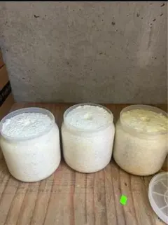 Item thumbnail for item 1fdb2746-3d33-4252-875b-bb8f2e006ecd