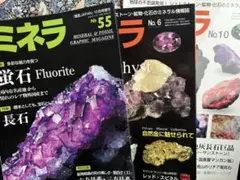 Item thumbnail for item 3f450d0e-685f-4bdb-bcfa-4eb1b54358a8