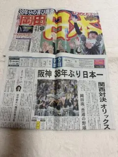 2023年 阪神タイガース 日本一記念 スポーツ新聞セット