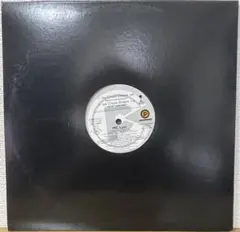 MC LYTE/ICE CREAM DREAM 12インチレコード