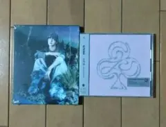 【未開封】＆TEAM EJ Back to Life ソロ盤　五月雨 通常盤