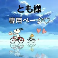 とも様専用ページ♡