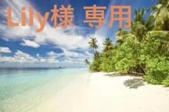 Lily様 専用 ⚠️他のお客様の購入はご遠慮下さい