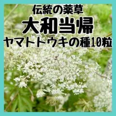 チョコミント様 リクエスト 5点 まとめ商品
