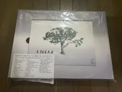 V6 Very6 BEST 通常盤 初回スリーブ仕様 初回特典V6大辞典付