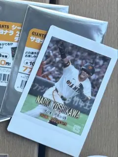 吉川尚輝　チェキ　ファンフェス　ジャイアンツ