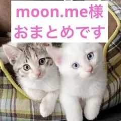 moon.me様 リクエスト 3点 まとめ商品