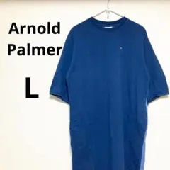 アーノルドパーマー レディース 半袖 カットソーワンピース ツートン 青 紺