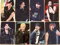 straykids SKZ TOYWORLD タワレコ 特典 8種 コンプ