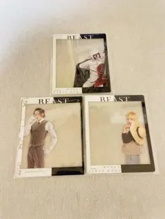 文豪ストレイドッグス 文ステ アクリルクリアカード フョードル 賢治 安吾