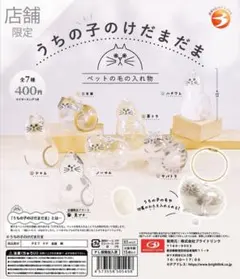 うちの子のけだまだま　黒ぶち　正規品（ブライトリンク）